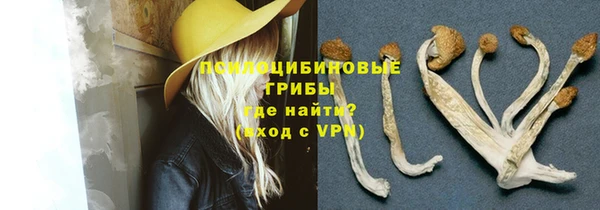 амф Касимов