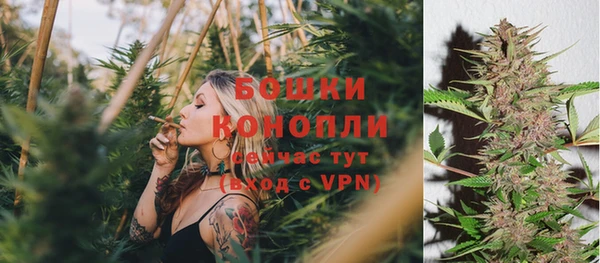 PSILOCYBIN Кинешма