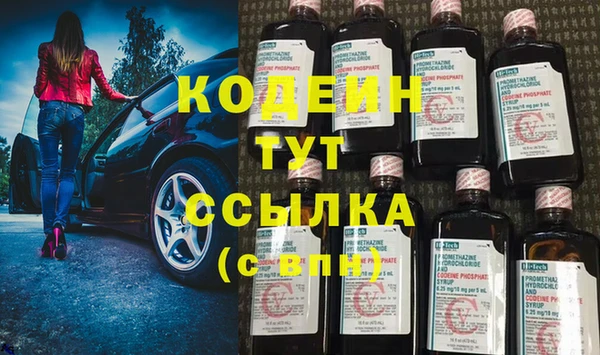 шишки Козловка