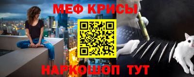 PSILOCYBIN Заводоуковск