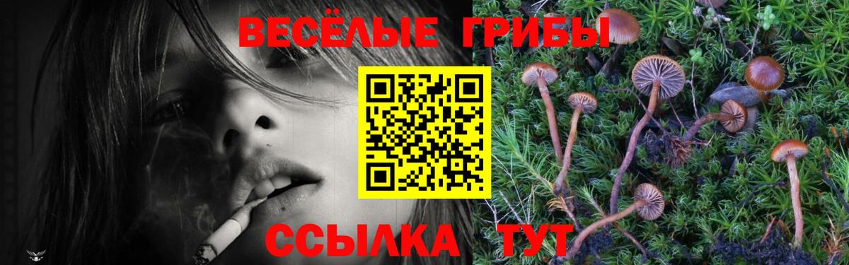 Псилоцибиновые грибы ЛСД Кушва