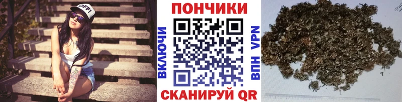 Бошки Шишки Amnesia  купить   Кушва 